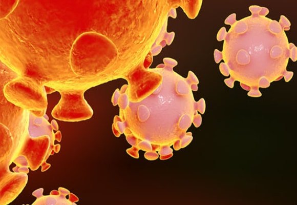 Electromec WSM Virus